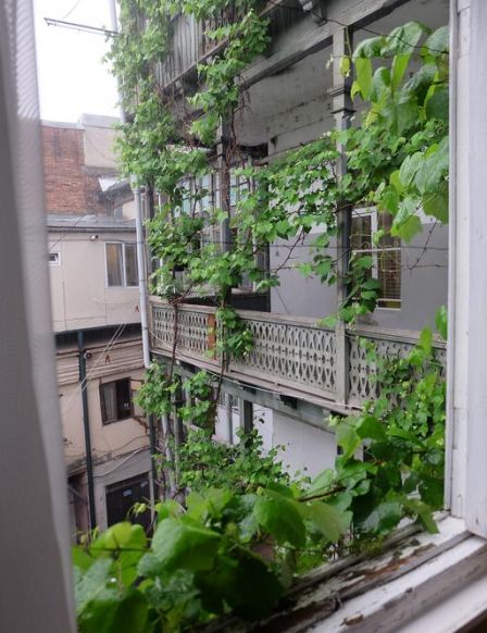 Гостевой дом Табукашвили 31, Тбилиси
