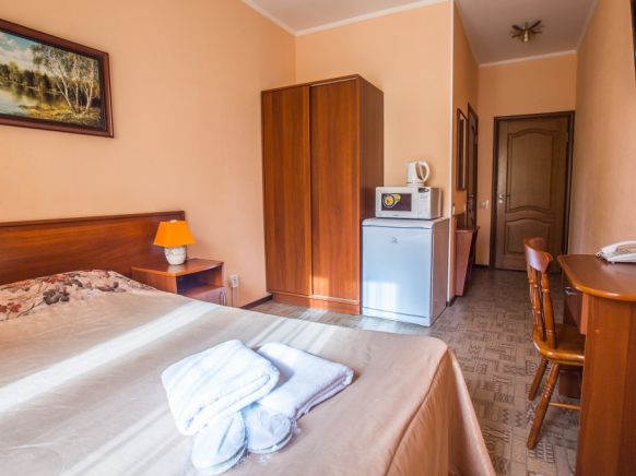 Фотография номера мини отеля Старая Деревня