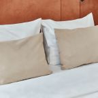 Двухместный (Бюджетный номер с видом на крышу), Гостиница Mix Hotels Nevsky 47