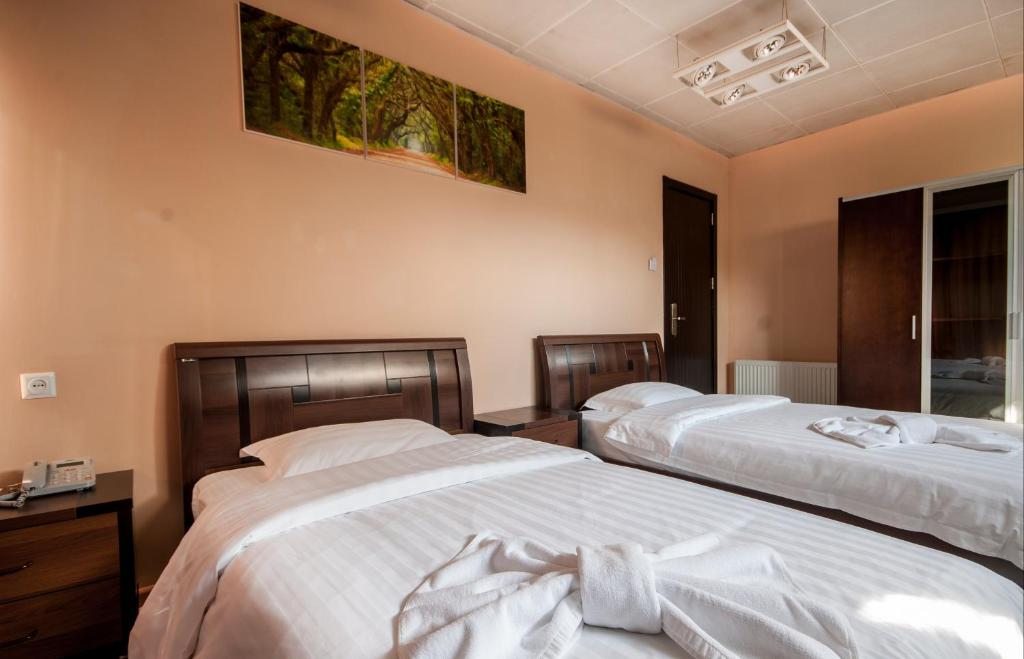 Двухместный (Двухместный номер Делюкс с 2 отдельными кроватями) отеля London Palace, Тбилиси