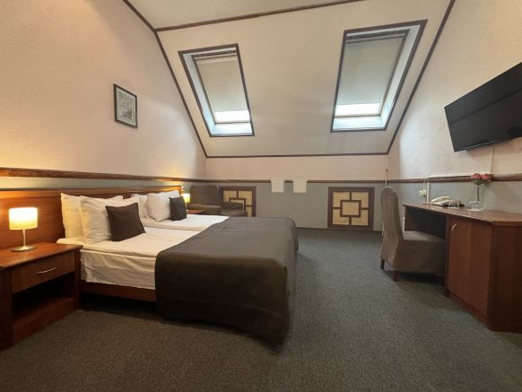 Фотография номера гостиницы Елизар