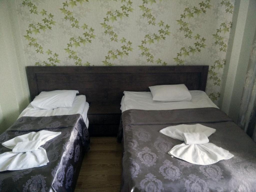 Двухместный (Двухместный номер с 2 отдельными кроватями) отеля Мимино, Тбилиси