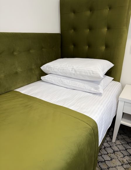 Фотография номера гостиницы Москва