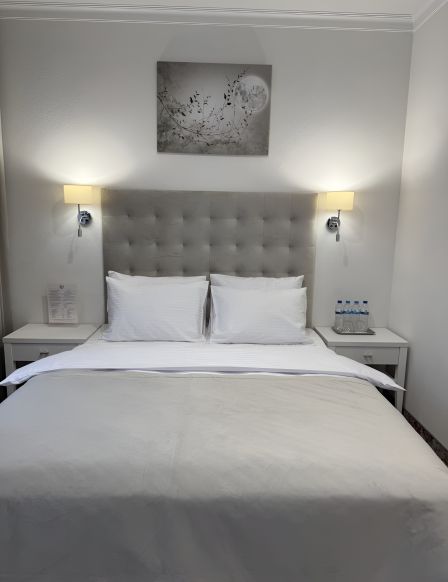 Фотография номера гостиницы Москва