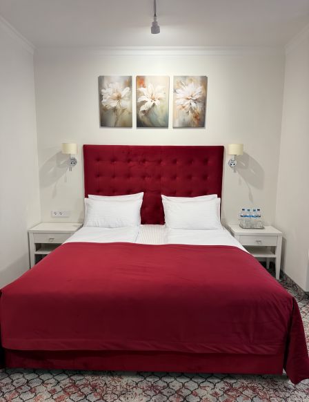 Фотография номера гостиницы Москва