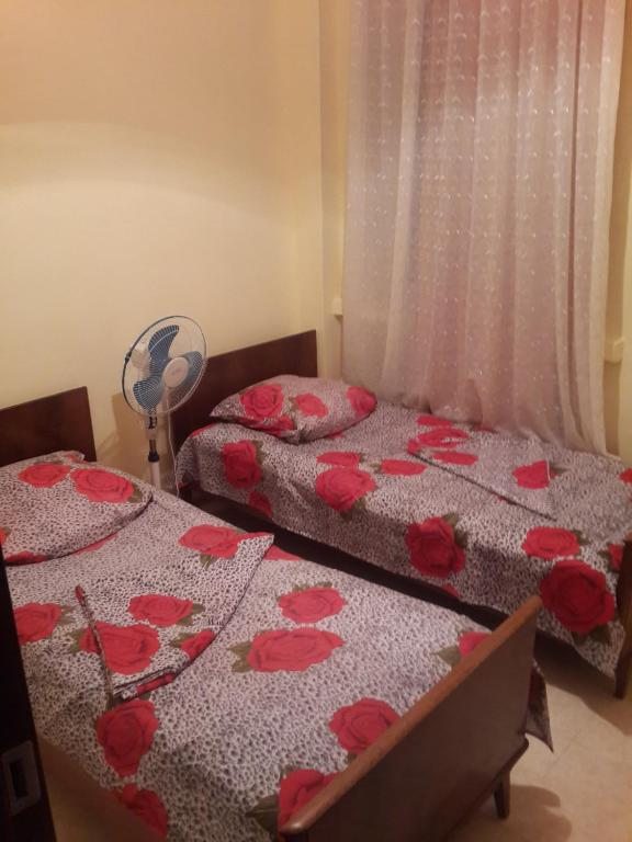 Двухместный (Двухместный номер с 1 кроватью и общей ванной комнатой) гостевого дома Лимон, Тбилиси