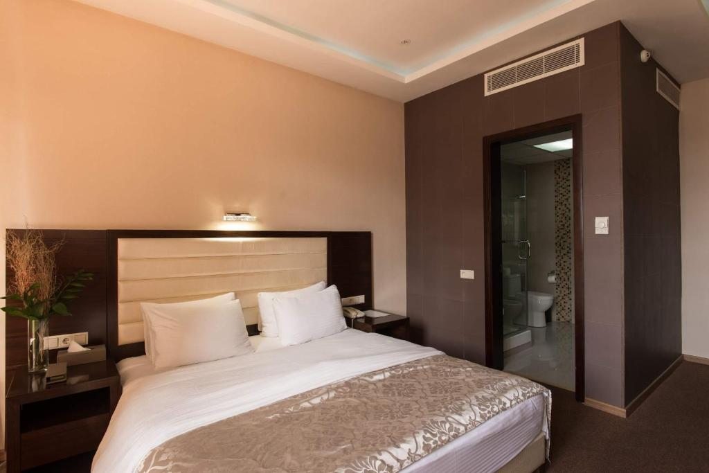 Двухместный (Стандартный двухместный номер с 1 кроватью) отеля Орион Тбилиси
