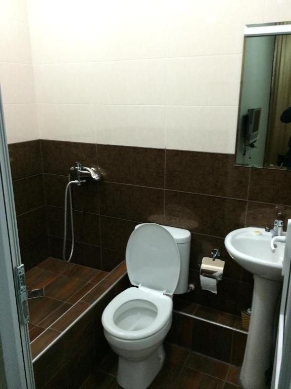 Трехместный (Трехместный номер с собственной ванной комнатой) отеля Star Didube, Тбилиси