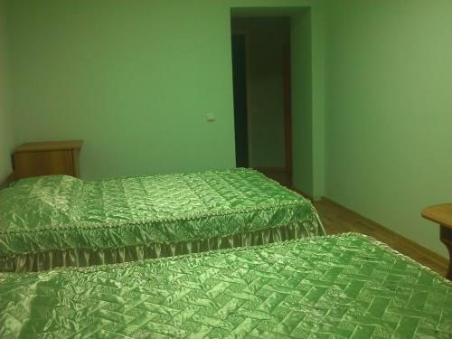 Двухместный (Двухместный номер с 2 отдельными кроватями и душем) гостиницы Василиса, Ульяновск