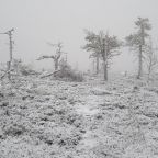 Номер (Дом для отпуска), Отель Симмониеми