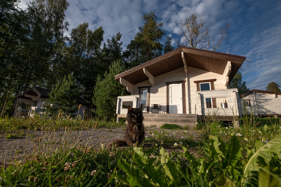 Дом (Белая Дача - летние домики) парк-отеля Яркое, Приозерск