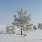 Номер (Дом с 1 спальней), Комплекс Дачка на Ладоге