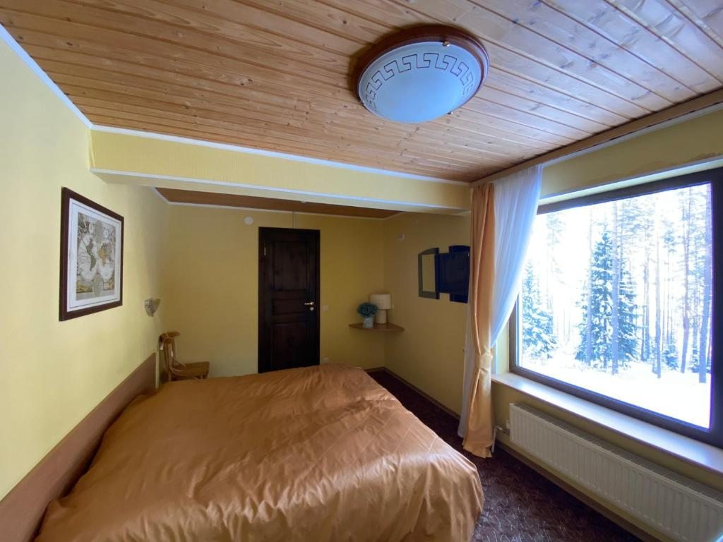 Двухместный (Большой двухместный номер с 1 кроватью) гостевого дома Лесной двор, Сямозеро