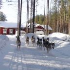 Катание на собачьих упряжках, Турбаза Кудама