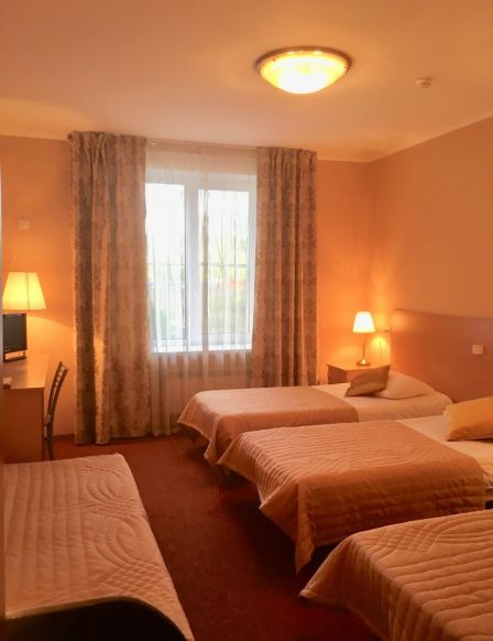 Фотография номера гостиницы Звездный