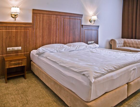 Фотография номера гостиницы Ретро