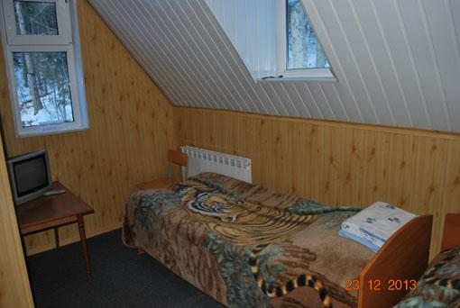 Двухместный (Бюджетный двухместный номер с 1 кроватью или 2 отдельными кроватями) мини-отеля Викинг, Домбай