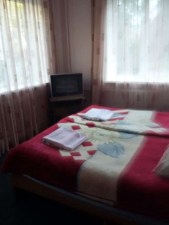 Двухместный (Большой двухместный номер c 1 кроватью или 2 отдельными кроватями) отеля Москва, Домбай