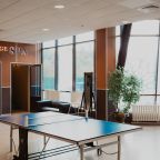 Настольный теннис, Загородный отель Яхонты Истра