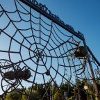 Сад, Отель Павлова Поляна