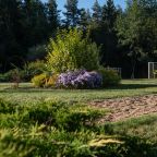 Сад, Отель Павлова Поляна