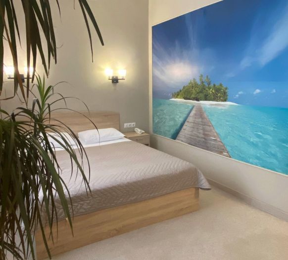 Фотография номера гостиницы Золотой шар