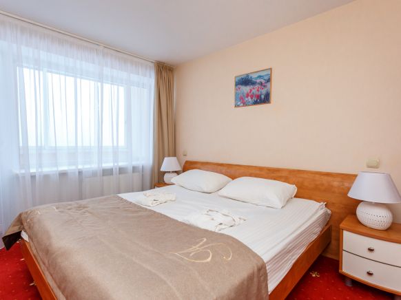 Фотография номера гостиницы АМАКС Валдайские зори