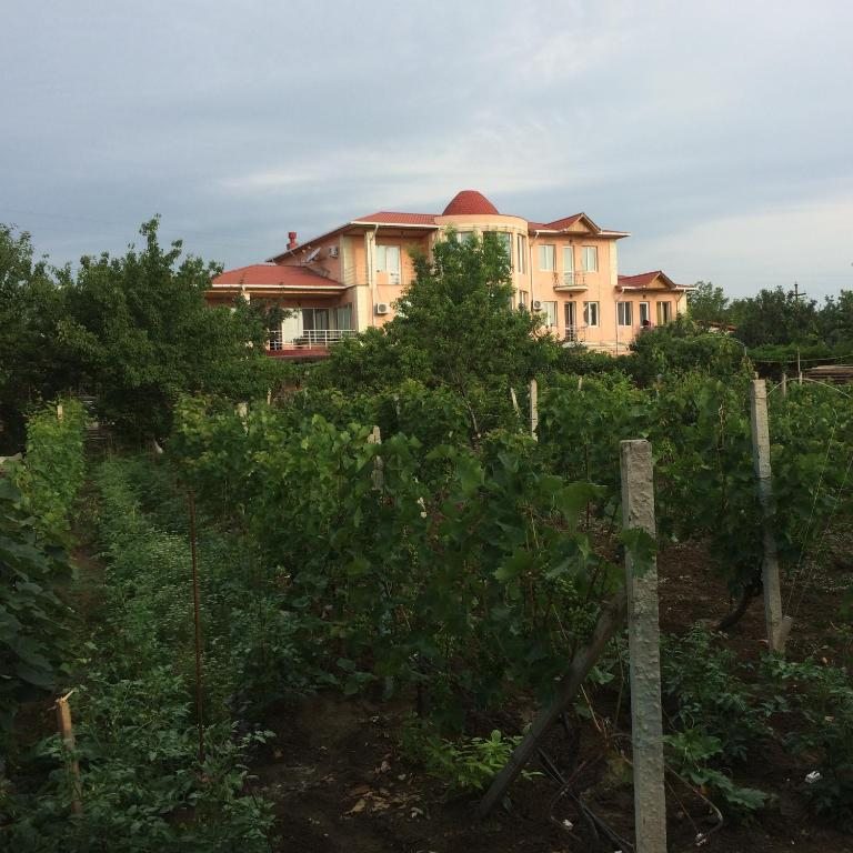 Апартаменты (Апартаменты - 1-й этаж) гостевого дома Wine Garden, Тбилиси