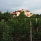 Апартаменты (Апартаменты - 1-й этаж), Гостевой дом Wine Garden