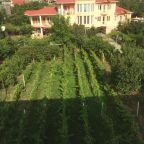 Апартаменты (Апартаменты с 3 спальнями), Гостевой дом Wine Garden