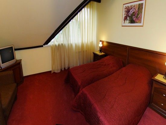 Фотография номера гостиницы Золотая орхидея