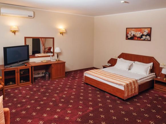 Фотография номера гостиницы Альянс