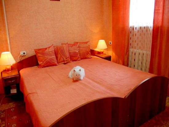 Трёхместный и более (Стандарт) гостиницы Белый кот, Ростов-на-Дону