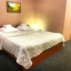 Номер Полулюкс Плюс в гостевом доме  Домик Охотника Токсово