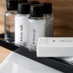 Двухместный (Номер "Стандарт" с мансардным окном, в корпусе без лифта), Отель Премьер