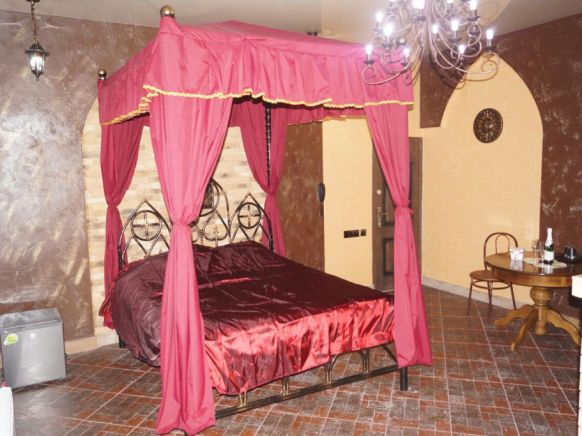 Фотография номера гостиницы Жар-Птица