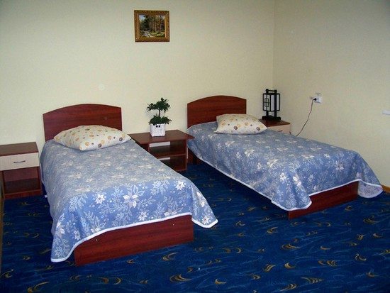Двухместный гостиницы Никита, Брянск