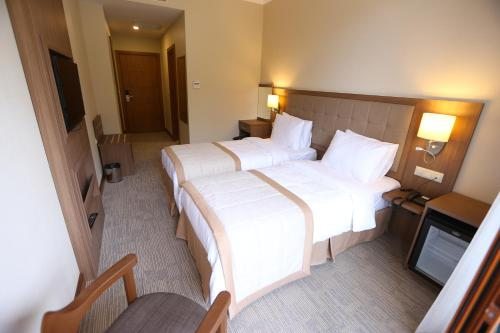 Двухместный (Двухместный номер эконом-класса с 1 кроватью или 2 отдельными кроватями) отеля Спутник Батуми