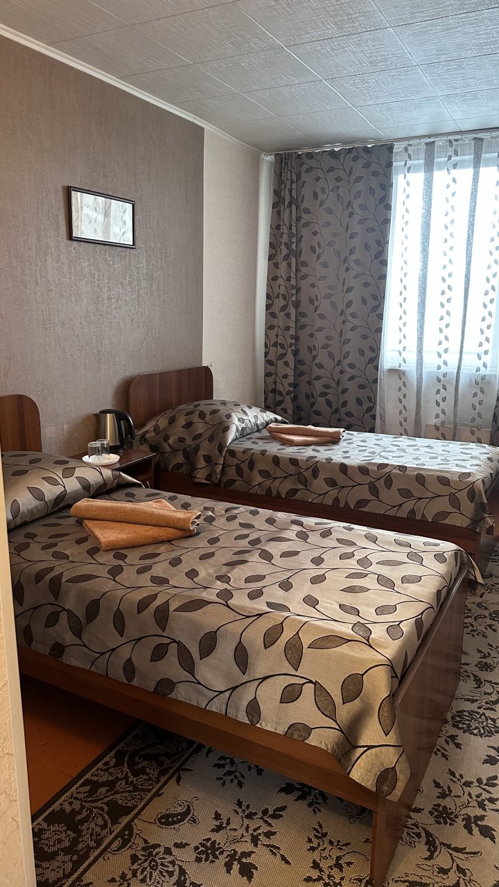 Двухместный (Стандарт (2 узк.кровати)) гостиницы Дружба, Абакан