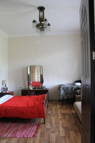 Трехместный (Трехместный номер эконом-класса с общей ванной комнатой) хостела Green View Imereti, Кутаиси