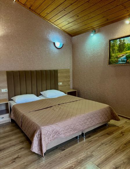 Фотография номера гостиницы Аммонит