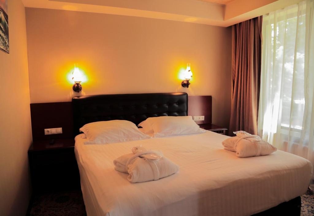 Двухместный (Стандартный двухместный номер с 1 кроватью) отеля Боржоми Палас