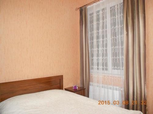 Двухместный (Стандартный двухместный номер с 1 кроватью) гостевого дома Borjomi Park, Боржоми