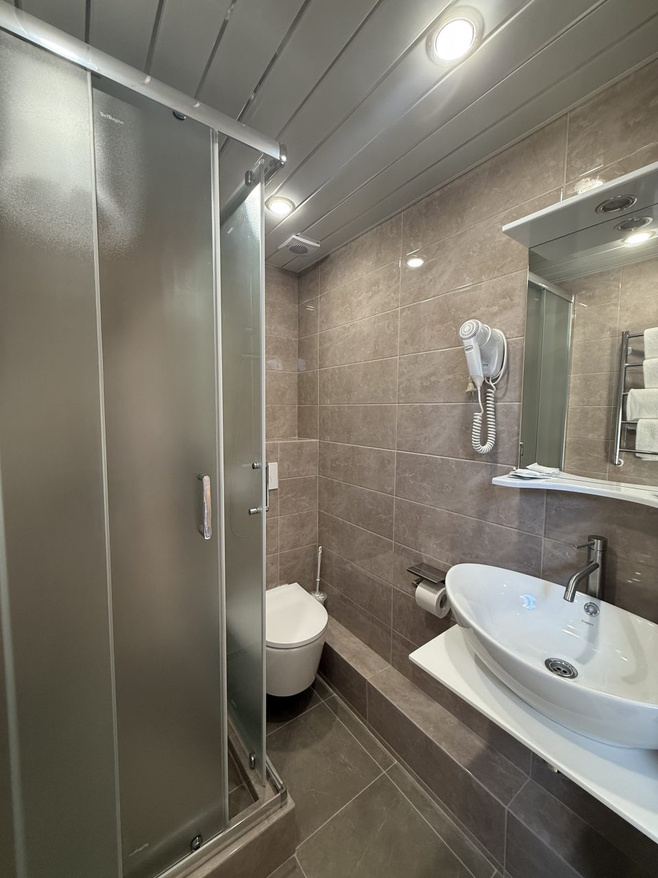 Двухместный (Мансардный Twin с кондиционером № 313), Гостиница Вознесенская