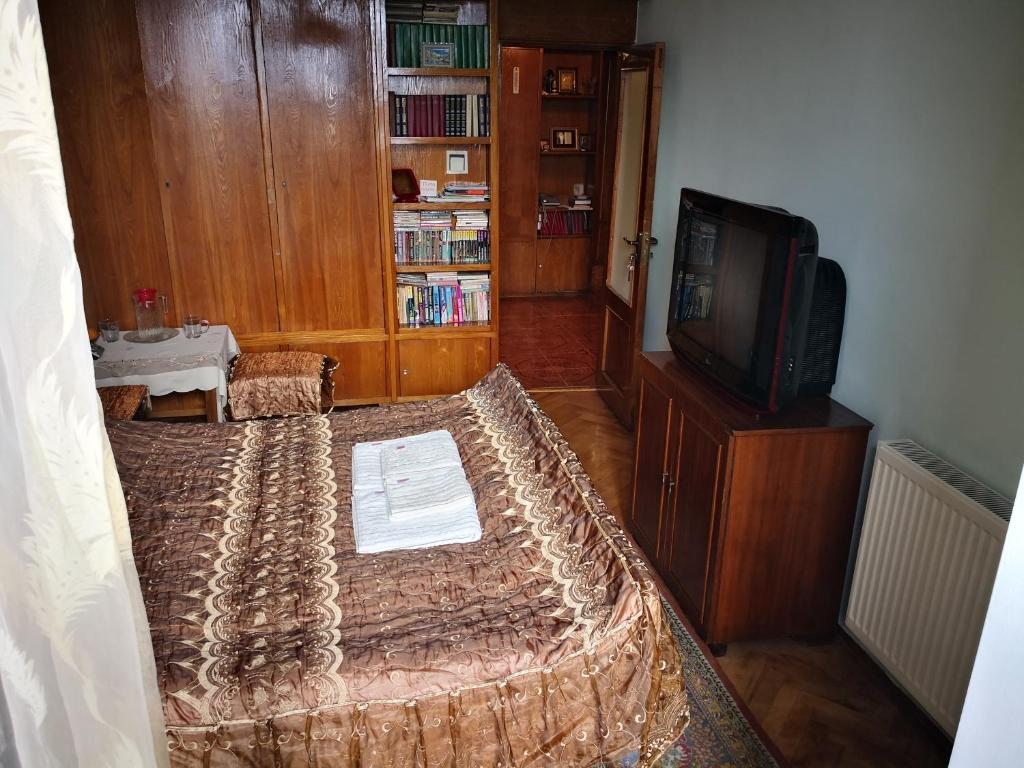 Двухместный (Бюджетный двухместный номер с 1 кроватью) семейного отеля Эрекле, Боржоми