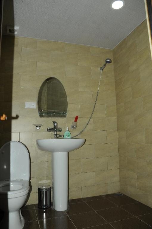 Двухместный (Двухместный номер с 1 кроватью и собственной ванной комнатой) гостевого дома Borjomi Forest, Боржоми