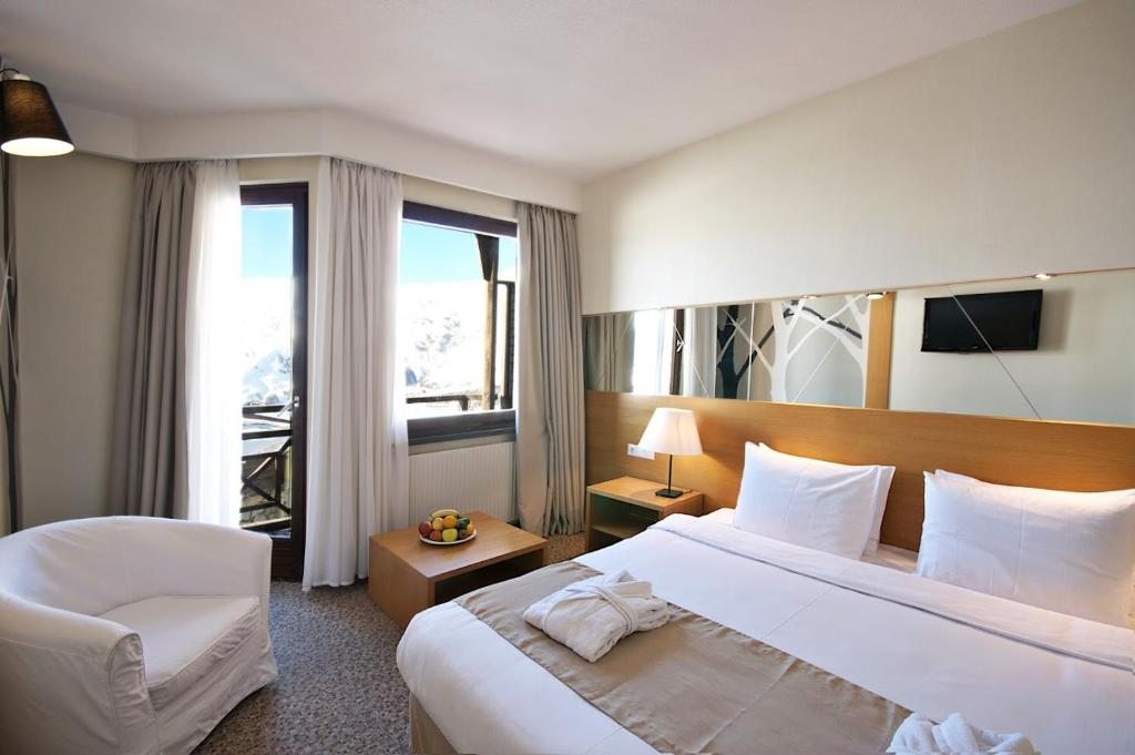 Двухместный (Стандартный двухместный номер с 1 кроватью) курортного отеля Гудаури Марко Поло