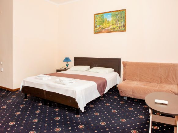 Фотография номера гостиницы Максимус