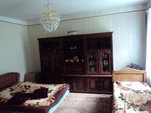 Семейный (Семейный номер с общей ванной комнатой) гостевого дома Cico, Степанцминда