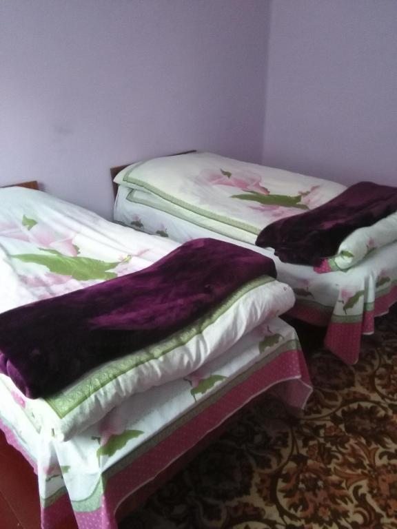 Двухместный (Двухместный номер с 2 отдельными кроватями и собственной ванной комнатой) гостевого дома Maia's, Степанцминда